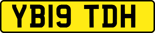 YB19TDH