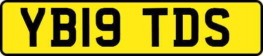 YB19TDS