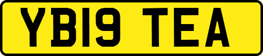 YB19TEA