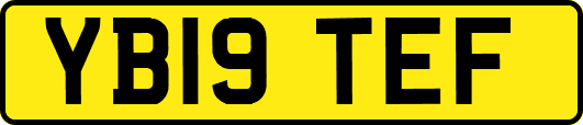 YB19TEF