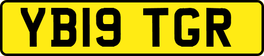 YB19TGR