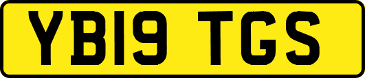 YB19TGS
