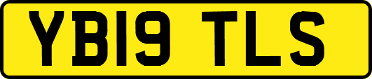 YB19TLS