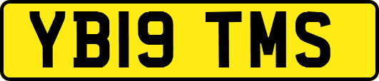 YB19TMS