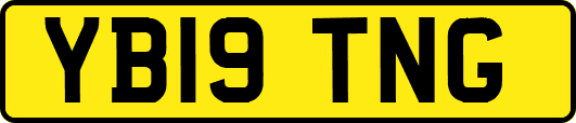 YB19TNG