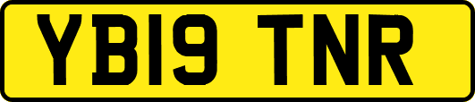 YB19TNR