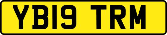 YB19TRM