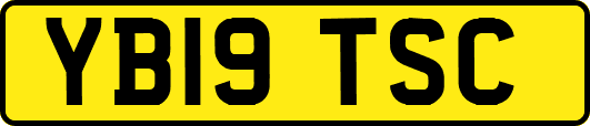 YB19TSC