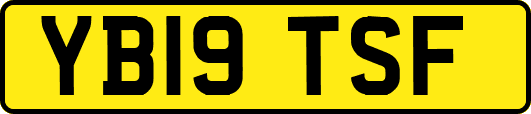 YB19TSF