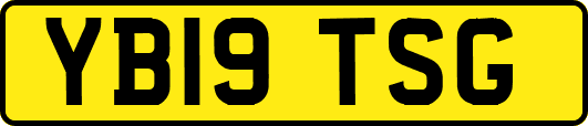 YB19TSG