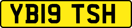 YB19TSH