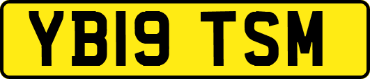 YB19TSM