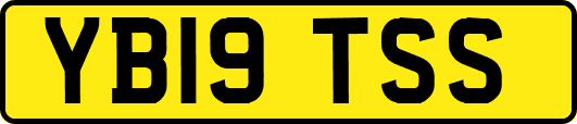 YB19TSS