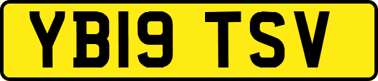 YB19TSV