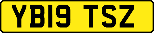 YB19TSZ