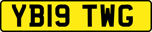 YB19TWG