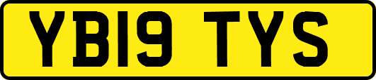 YB19TYS