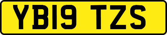 YB19TZS