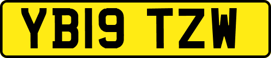 YB19TZW