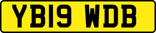 YB19WDB