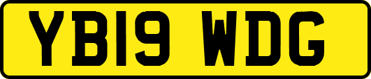 YB19WDG