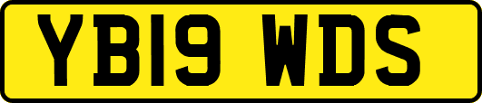 YB19WDS