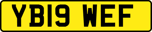 YB19WEF