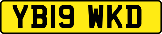 YB19WKD
