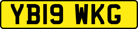YB19WKG