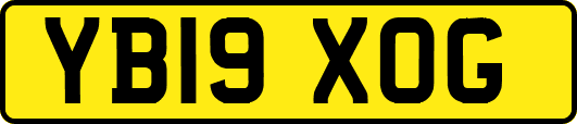 YB19XOG