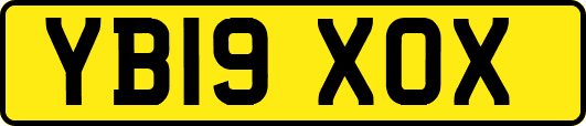 YB19XOX