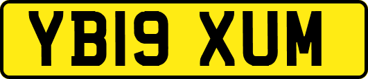 YB19XUM