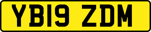 YB19ZDM