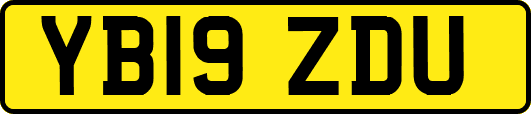 YB19ZDU