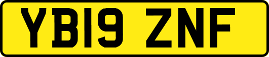 YB19ZNF