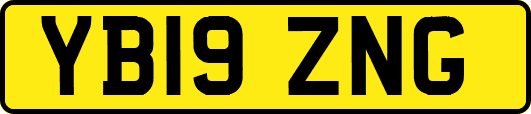 YB19ZNG