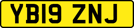 YB19ZNJ