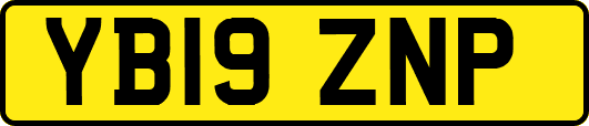 YB19ZNP