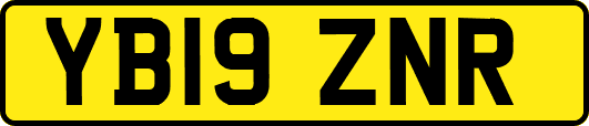 YB19ZNR