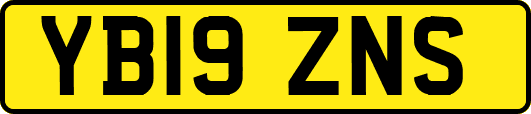 YB19ZNS