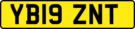 YB19ZNT