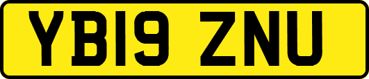 YB19ZNU