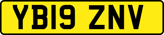 YB19ZNV