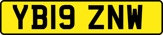 YB19ZNW