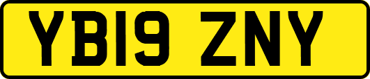 YB19ZNY