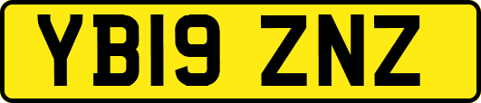 YB19ZNZ