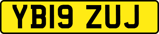 YB19ZUJ