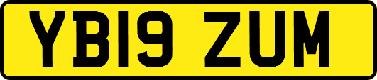 YB19ZUM