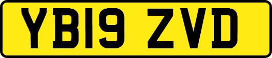 YB19ZVD