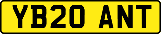 YB20ANT
